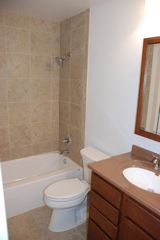 249 W COURT OF SHOREWOOD Court 2B, Vernon Hills, IL 60061