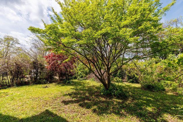 38 Phoenix Street, Springfield, MA 01104