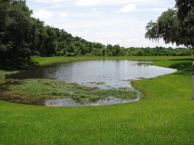 8216 DOWNPATRICK COURT, Tampa, FL 33610