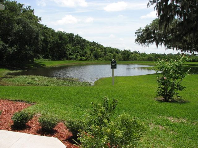 8216 DOWNPATRICK COURT, Tampa, FL 33610