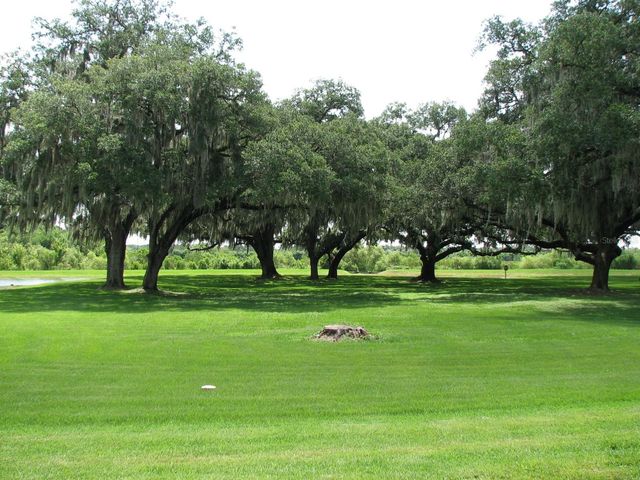 8216 DOWNPATRICK COURT, Tampa, FL 33610