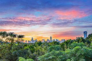1407 Alameda DR, Austin, TX 78704