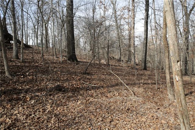 Lot 11 Kirkpatrick Way, Bella Vista, AR 72715