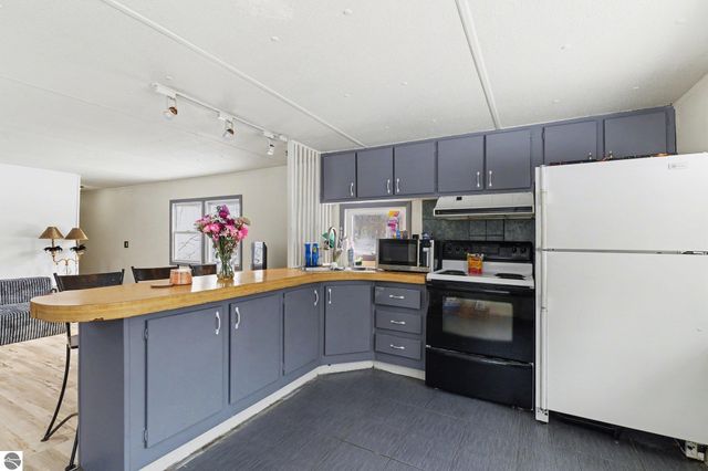 8923 SE Torch Lake Drive, Alden, MI 49612