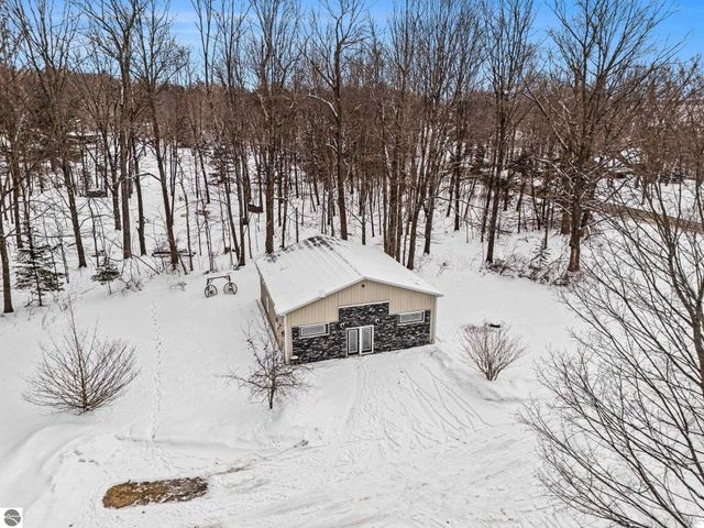 8923 SE Torch Lake Drive, Alden, MI 49612