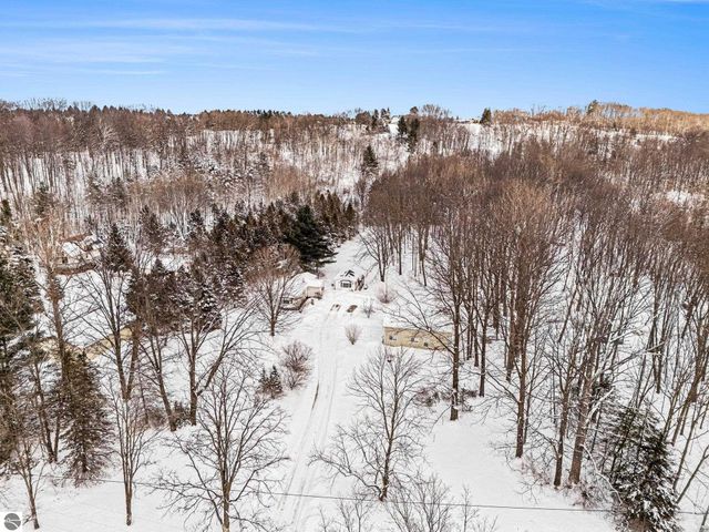 8923 SE Torch Lake Drive, Alden, MI 49612