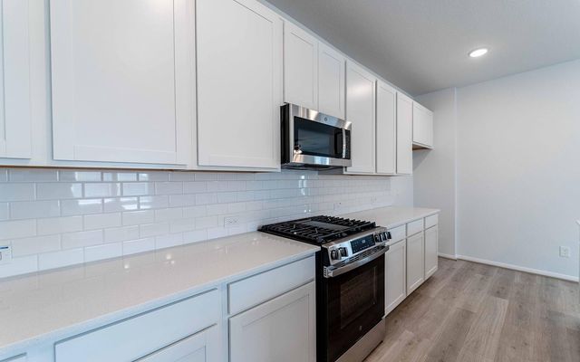 25039 Apricot Court, Montgomery, TX 77316