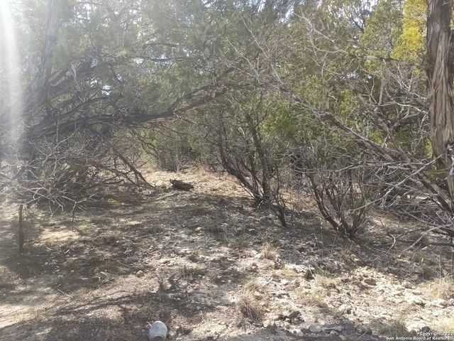 0 TEJAS, Bandera, TX 78003