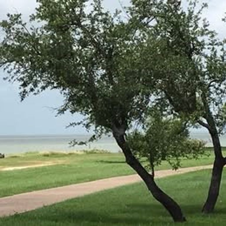 4042 Loop 1781, Rockport, TX 78382 — photo 5