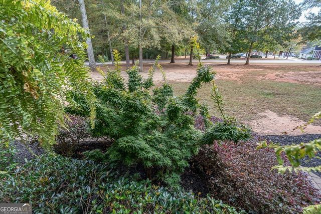 1091 Barber Creek Drive, Watkinsville, GA 30677