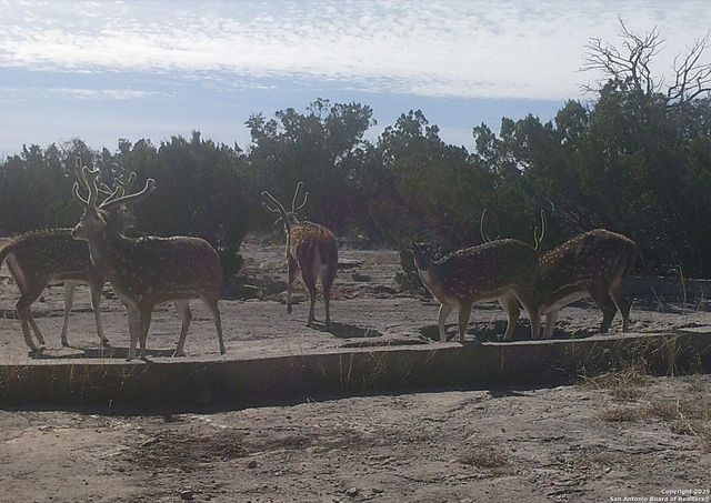 000 SD 45340, Rocksprings, TX 78880