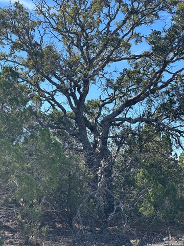 000 SD 45340, Rocksprings, TX 78880