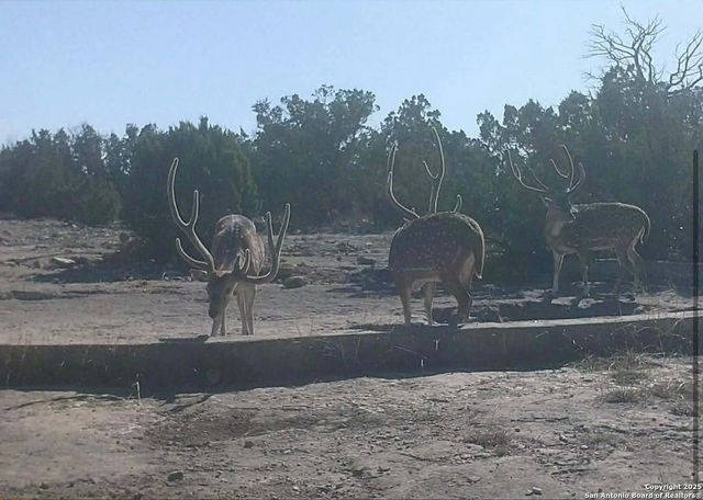 000 SD 45340, Rocksprings, TX 78880