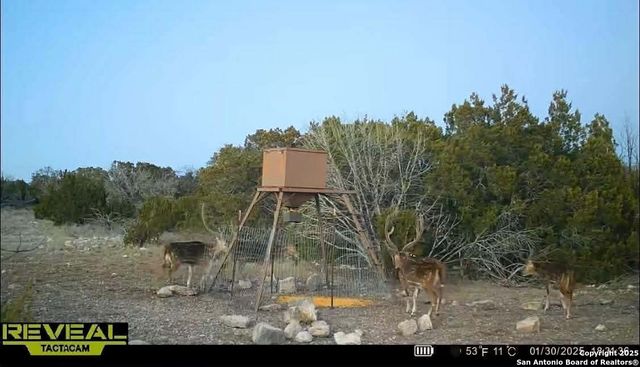 000 SD 45340, Rocksprings, TX 78880