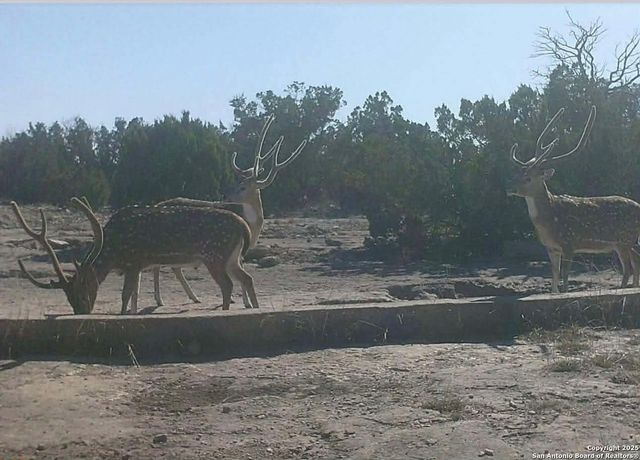 000 SD 45340, Rocksprings, TX 78880