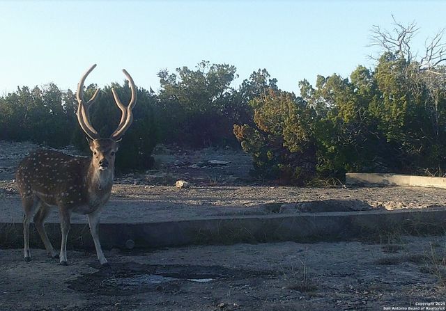 000 SD 45340, Rocksprings, TX 78880