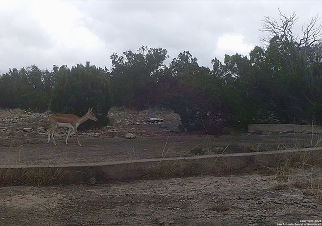 000 SD 45340, Rocksprings, TX 78880