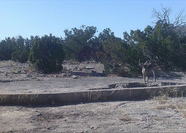 000 SD 45340, Rocksprings, TX 78880