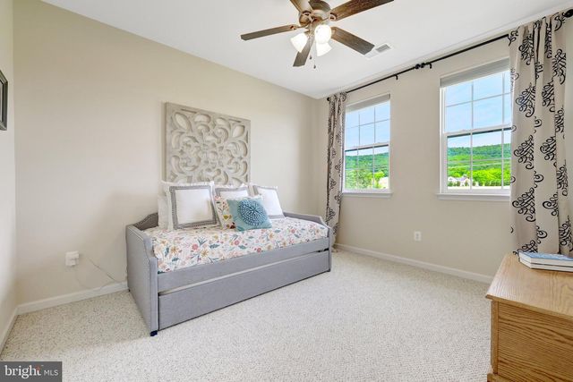 15002 MOUNTAIN RD, Hillsboro, VA 20132