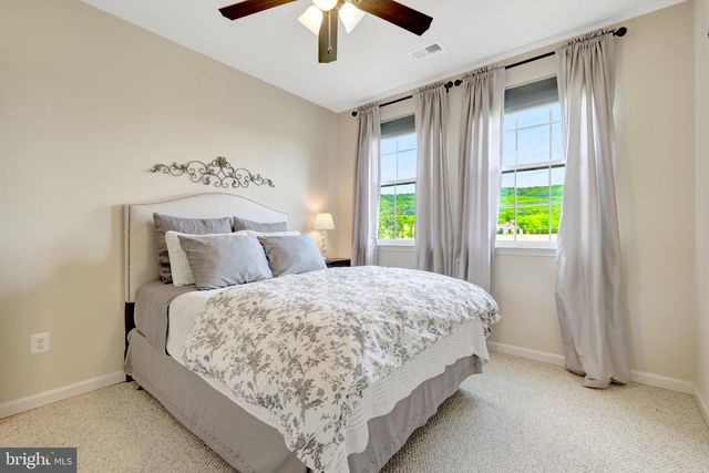 15002 MOUNTAIN RD, Hillsboro, VA 20132