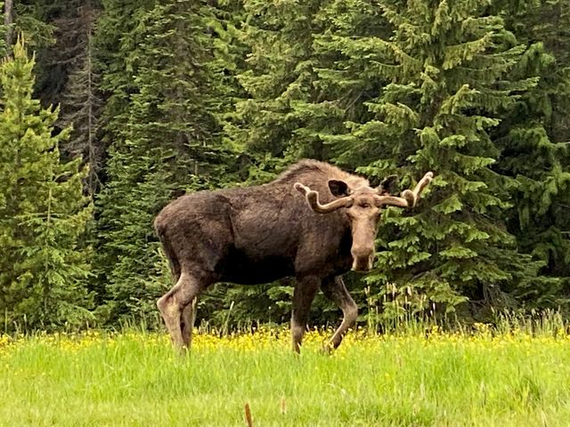 1876 Timber Creek Road, Haugan, MT 59866