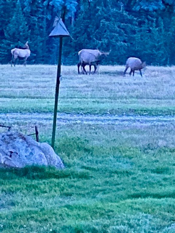 1876 Timber Creek Road, Haugan, MT 59866 photo 70