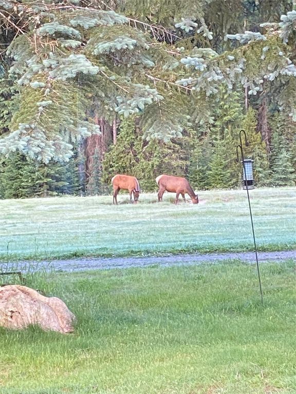 1876 Timber Creek Road, Haugan, MT 59866 photo 73