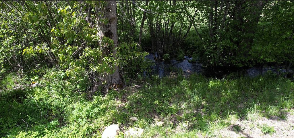 1876 Timber Creek Road, Haugan, MT 59866 photo 78