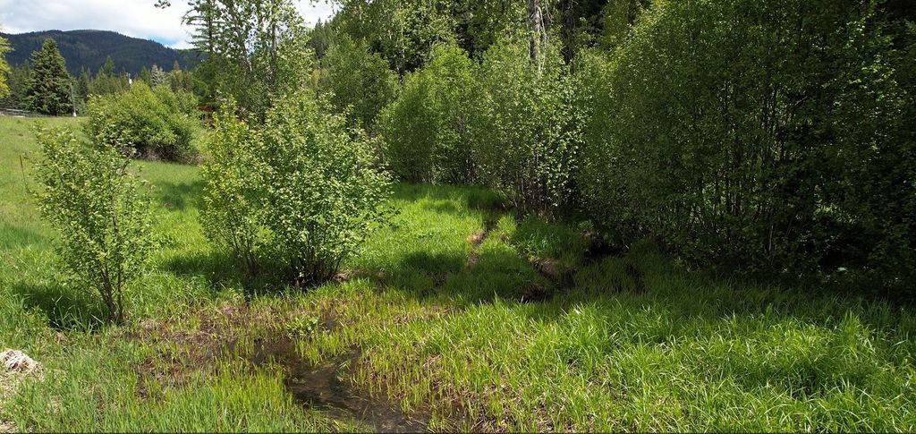 1876 Timber Creek Road, Haugan, MT 59866 photo 79