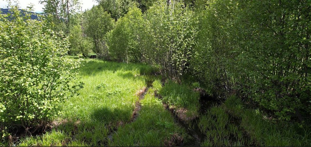 1876 Timber Creek Road, Haugan, MT 59866 photo 80