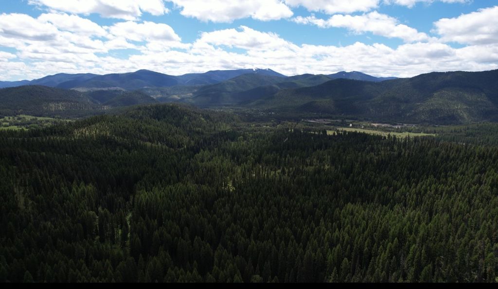 1876 Timber Creek Road, Haugan, MT 59866 photo 85