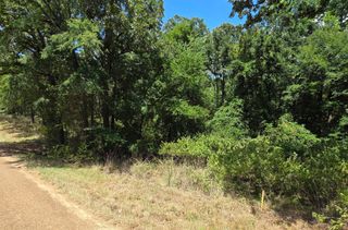 0 Hickory Street Lot 90, Mabank, TX 75156