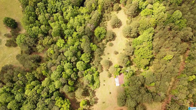 2488 LOUINA ROAD, Roanoke, AL 36274