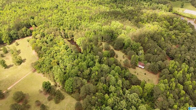 2488 LOUINA ROAD, Roanoke, AL 36274