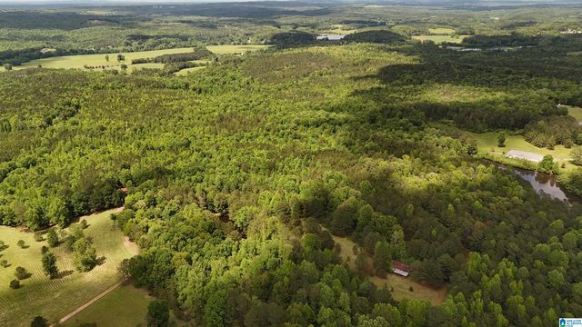 2488 LOUINA ROAD, Roanoke, AL 36274