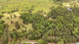 2488 LOUINA ROAD, Roanoke, AL 36274