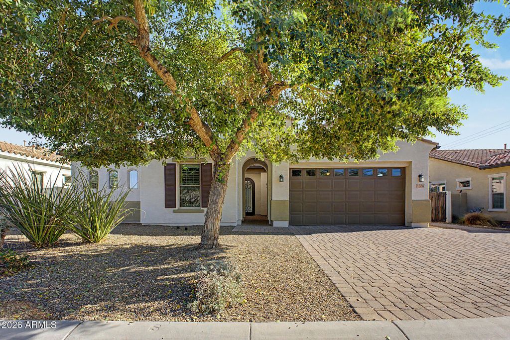 1559 W SEA FOG Drive, Gilbert, AZ 85233 — exterior