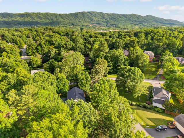 24 Queen Regent CT, Blue Ridge, VA 24064