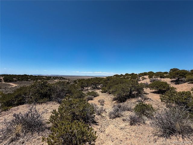 Lot 1058 Hotchkiss Road, Fort Garland, CO 81133