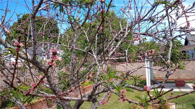 37 Hastings Avenue, Ventura, CA 93003