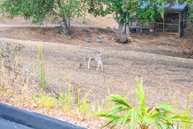 9350 Santa Cruz Rd, Atascadero, CA 93422