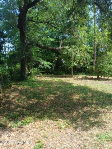 510 Holbrooke Avenue, Wilmington, NC 28412