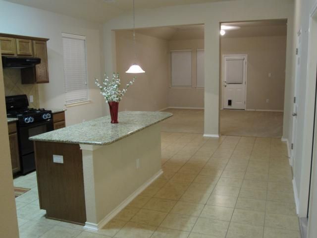 12020 Crownstone LN, Manor, TX 78653