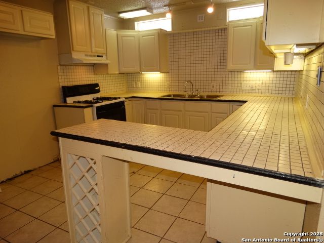 11914 Alamo Blanco, San Antonio, TX 78233