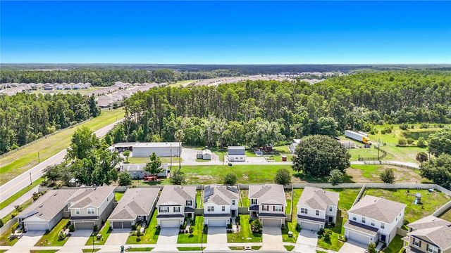 10699 OLD SYCAMORE LOOP, Land O Lakes, FL 34638