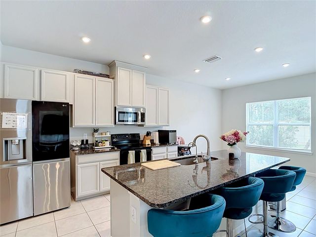 10699 OLD SYCAMORE LOOP, Land O Lakes, FL 34638