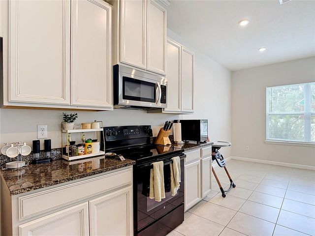 10699 OLD SYCAMORE LOOP, Land O Lakes, FL 34638