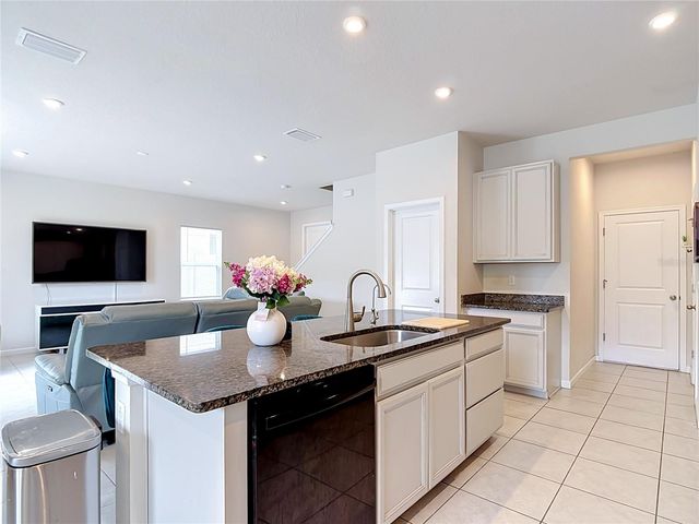10699 OLD SYCAMORE LOOP, Land O Lakes, FL 34638