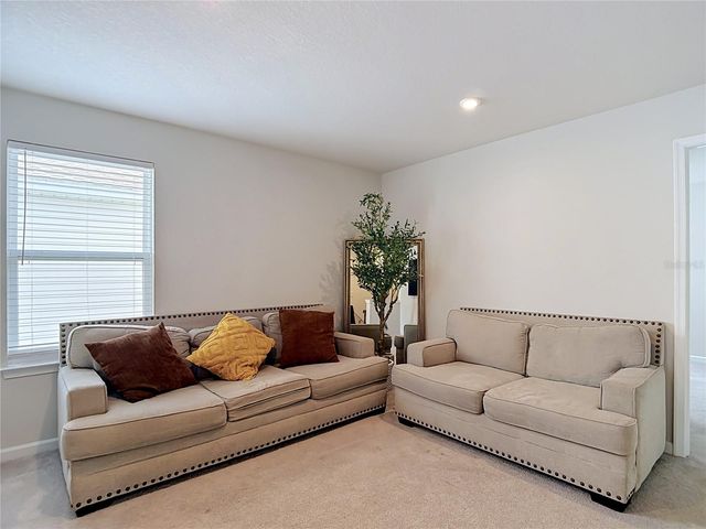 10699 OLD SYCAMORE LOOP, Land O Lakes, FL 34638