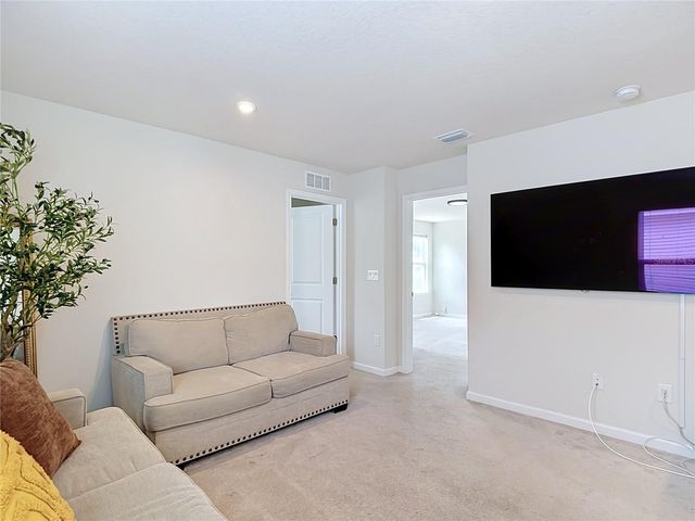 10699 OLD SYCAMORE LOOP, Land O Lakes, FL 34638